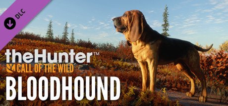 theHunter: Call of the Wild™ - Bloodhound — Steam